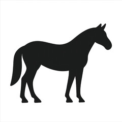 Obraz premium horse silhouette vector
