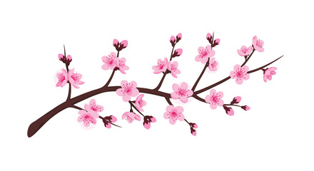 Naklejka premium Elegant illustration of a single cherry blossom branch with delicate pink sakura flowers and buds on a white background.