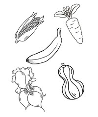 Vector Illustration hand drawn vegetables
