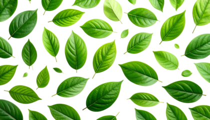 Vibrant Green Leaves Pattern on White Background