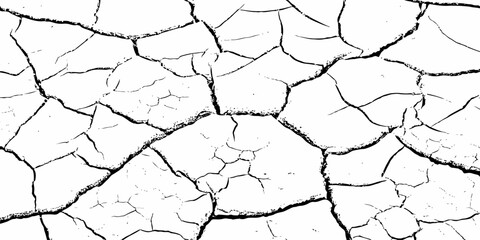 High-contrast cracked earth texture with bold black fracture lines on a clean white background, ideal for abstract backgrounds, design overlays, and minimalist graphic projects. Perfect for stock use.