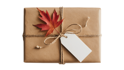 Brown paper gift box tied with twine and autumn leaf isolated on transparent background
