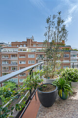 Fototapeta premium Zen terrace with a rock garden, bamboo fountain, and meditation space amidst the urban bustle