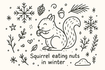 Winter Squirrel Doodle. Squirrel eating nuts in winter. Hand-drawn doodle illustration of Squirrel eating nuts