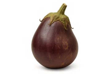 Purple and green eggplant standing upright, a fresh whole raw vegetable ingredient with the background removed