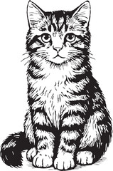 Sweet Kitten Vector Drawing Showing Striped Fur Sitting on Transparent