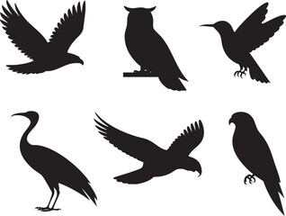Naklejka premium Six black bird silhouettes including eagle owl hummingbird crane and hawk white background