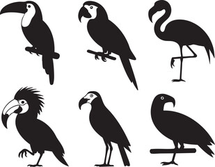 Naklejka premium Six black silhouette graphic elements of tropical birds on white background vector
