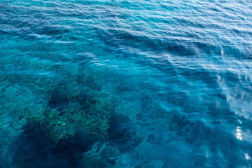 Crystal Clear Water Reveals Hidden Coral Reefs Beneath the Surface at Midday