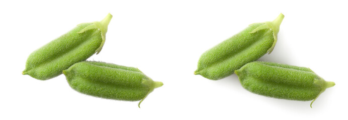 Fresh green sesame pods isolated on the white background, top view.