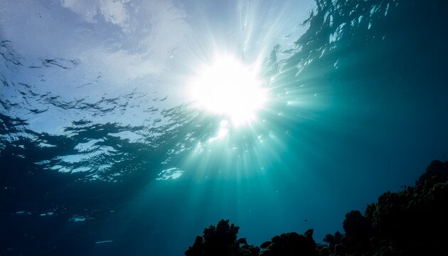 The Sun's Rays Breaking the Surface. Underwater. The sun is a brilliant white orb and its powerful light is breaking through the rippling blue water surface creating a god ray explosion.
- Powered by Adobe