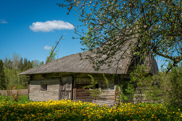 An old weathered countryside building surrounded by a field of bright yellow dandelions and lush spring greenery under a vivid blue sky.