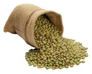 Burlap sack spilling green lentils isolated on transparent background