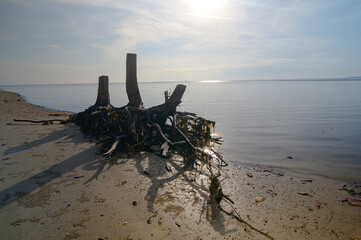 Scenic View of Nam Daeng Beach in Rayong Province During Summer