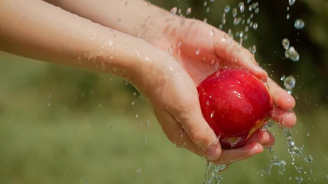 Girl washing fresh nectarine under running water. Female rinsing ripe and juicy summer fruit. Lady cleaning bright and smooth nectarine outdoors
