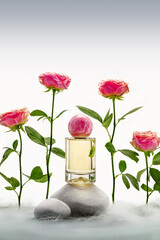 A bottle of fragrance rests on smooth stones in front of pink roses. The flowers stand tall, adding color to a light background. Soft fog fills the area, creating a gentle look.