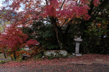 京都府大原紅に染まる石灯籠の詩