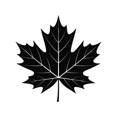 Maple leaf against  black silhouette art vector design on a white background 