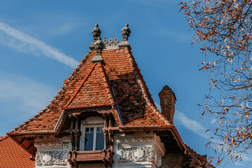 Ornate Roof and Facade of Historic Building