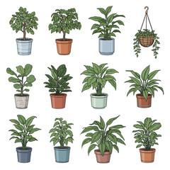 Fototapeta premium Collection of Potted Houseplants - Diverse Varieties for Indoor Decor.