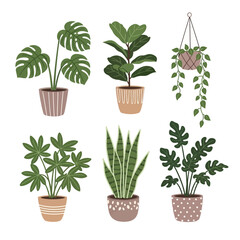 Obraz premium Collection of six potted houseplants in various styles and sizes.