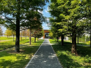 path in the park