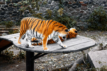 A Bengal tiger stands beside a resting companion on a circular wooden platform in an outdoor enclosure with stone walls and greenery, conveying calm wildlife behavior and natural zoo surroundings.