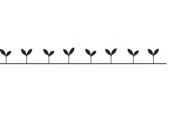 Growing plant seedlings silhouette line, showing agricultural development, organic farming, and ecological concepts on transparent background