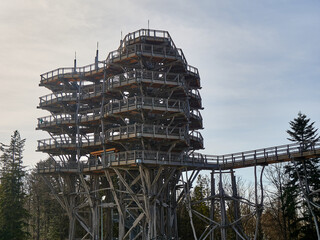 Large Wooden Observation Tower Treetop Walkway Structure