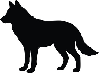 Wolf Silhouette – Isolated on Transparent Background Standing Wild Animal Vector