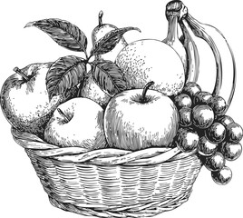 Fruit basket sketch hand drawn with apples bananas grapes pears and leaves. Vector illustration