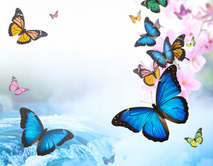 A butterfly is flying in the air