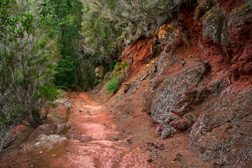 Dirt trail with red volcanic soil Anaga Tenerife