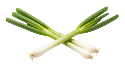 Fresh Green Onions Crossed Arrangement With White Stems And Green Leaves On Transparent Background