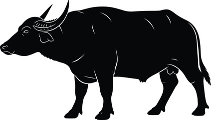 Water Buffalo Silhouette – Isolated on Transparent Background Standing Buffalo Vector Illustration