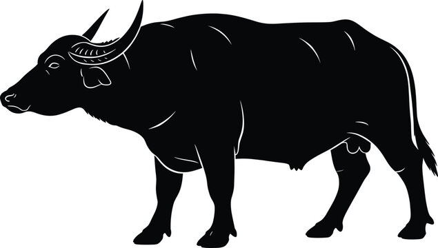 Water Buffalo Silhouette &ndash; Isolated on Transparent Background Standing Buffalo Vector Illustration