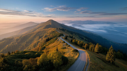 Rustic nature landscape of winding mountain road through golden forest during fall season, misty atmosphere, distant peak viewed from wide human eye road level perspective, cozy au
