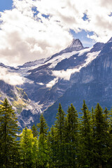 Towering, dark mountain peaks covered in glaciers and clouds dominate the background of this vertical alpine landscape. 