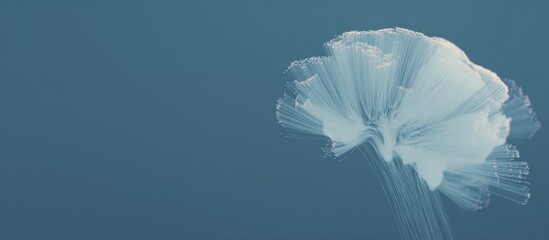 Ethereal jellyfish floating in serene ocean waters