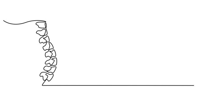 Animated self drawing of   spine continuous one line drawing, Continuous one line drawing bones of human hand. Wrist bones in single line art vector illustration. Editable stroke., Spine icon, 
