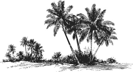 Naklejka premium Palm trees sketch, hand drawn tropical landscape with clustered palms and foliage. Vector illustration