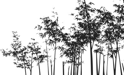 Fototapeta premium Bamboo silhouette sketch, hand drawn style, dense bamboo grove with leafy branches. Vector illustration