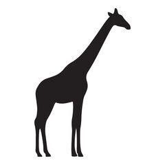 Giraffe Silhouette Standing