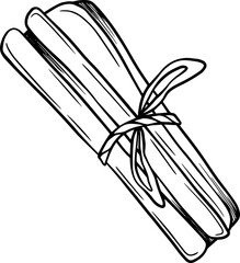 Cinnamon sticks, spicy aroma