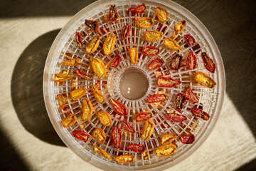 Bright red and yellow cherry tomatoes are arranged in a dehydrator, drying under warm air. This healthy method preserves their flavor, perfect for summer snacks.
