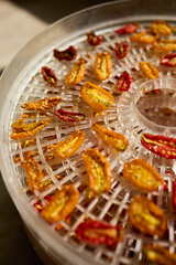 Bright red and yellow cherry tomatoes are arranged in a dehydrator, drying under warm air. This healthy method preserves their flavor, perfect for summer snacks.