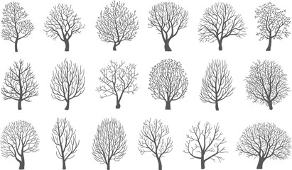 Leafless Tree Silhouette Icon Set Featuring Diverse Branching Patterns and Trunk Shapes in Minimalist Botanical Vector Style