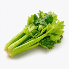 Fresh Green Celery Stalk Isolated on White Background for Design