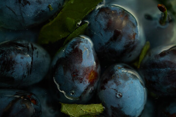 Plums are gathered from the orchard, showing ripe fruits with rich colors and green leaves. The...