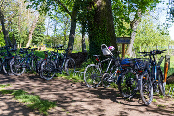 Row of parked bicycles with a child seat on a rack under trees. Bike rental spot on a forest path at the Moritzburg area. Recreation and tourism